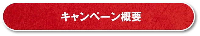 キャンペーン概要