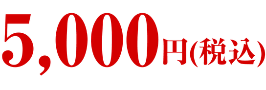 5,000円(税込)